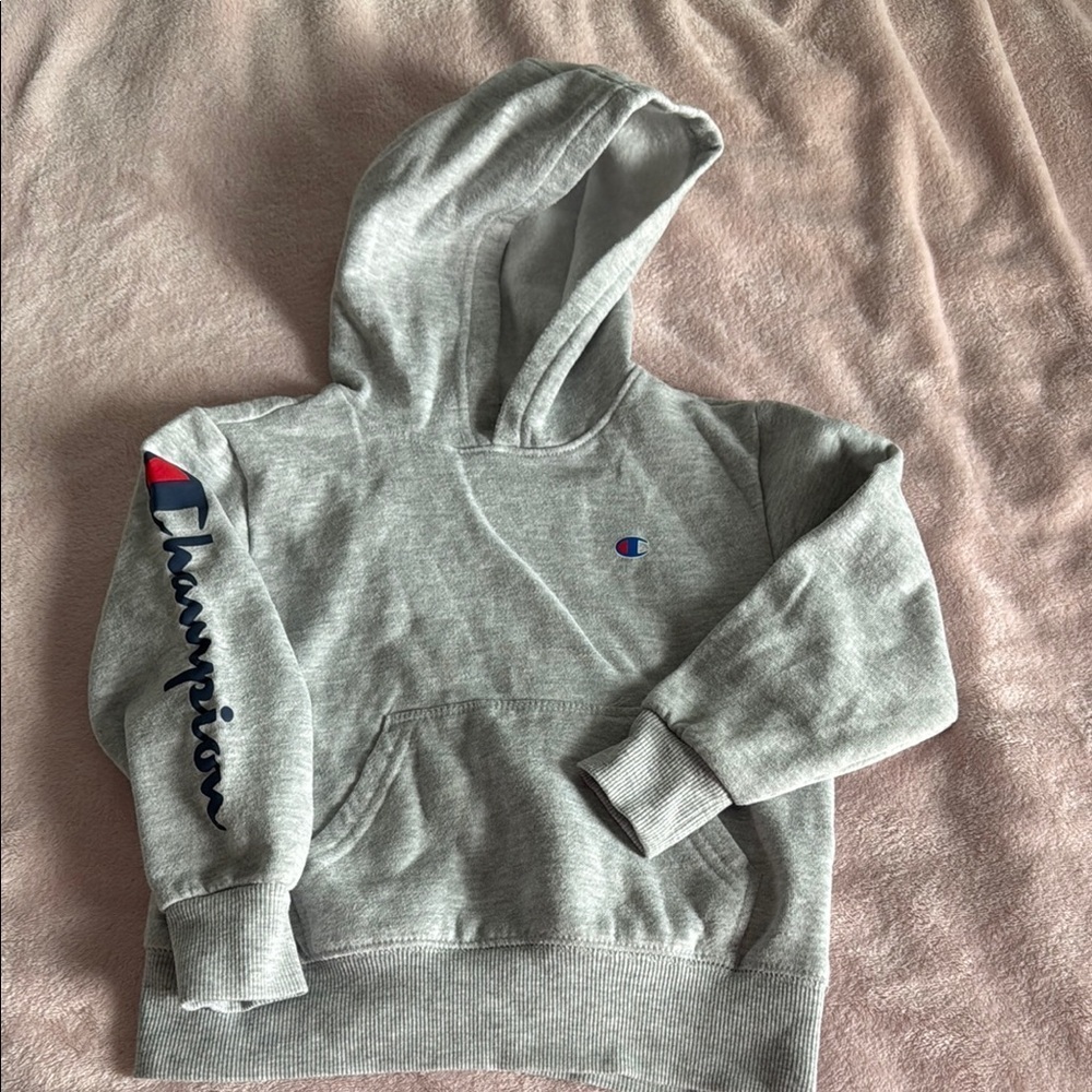 Champion Gray Sweatshirt Hoodie Size 5